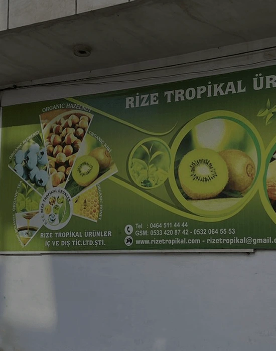 banner-rizetropikal-warehouse